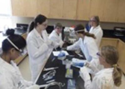 pLac Promoter  – breaking down fatty buildup in sewage pipes using synthetic biology