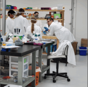 Save the Corals – Sensor for a water pollutant, Synbio