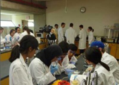 Sugar Saver – Creating a natural sugar substitute for sugar-free diets