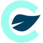 Carbon Replay