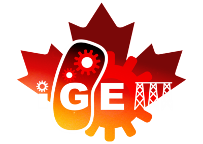 RhizoRetention – improve canola’s drought tolerance