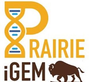 LacThera – bacteria to help maintain balance of healthy bacteria in vaginal area